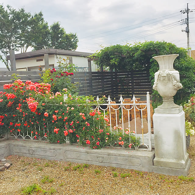 shinryudouさんの実例写真