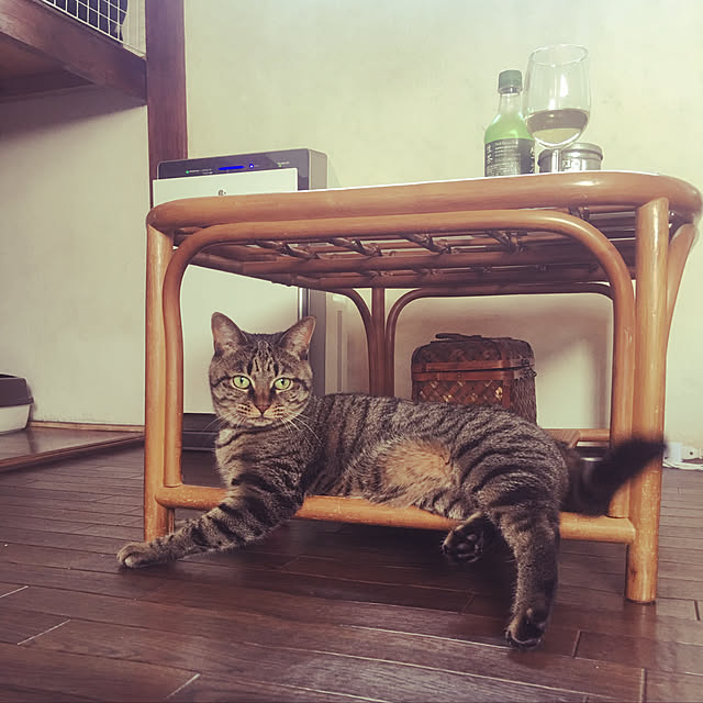 KINGさんの実例写真