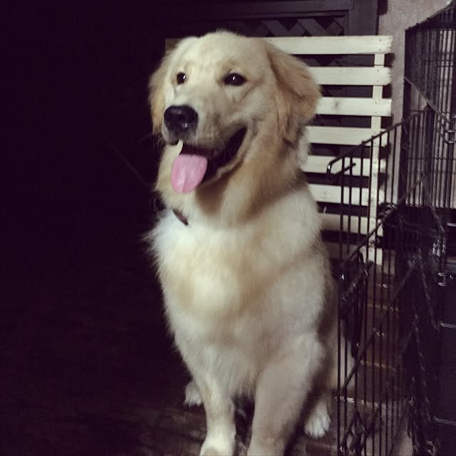 kimkimさんの実例写真