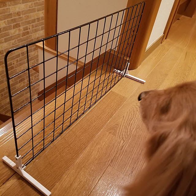 kiyoppe5さんの実例写真