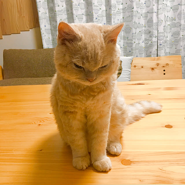 naokoさんの実例写真