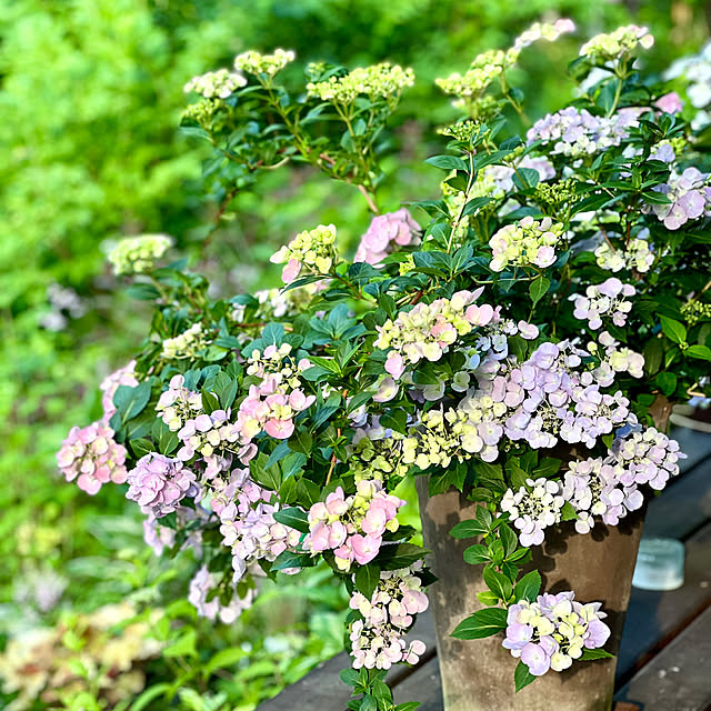 Kikko.さんの部屋