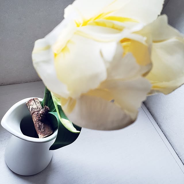 wanidaさんの部屋