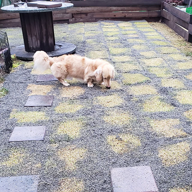 ciiiさんの実例写真