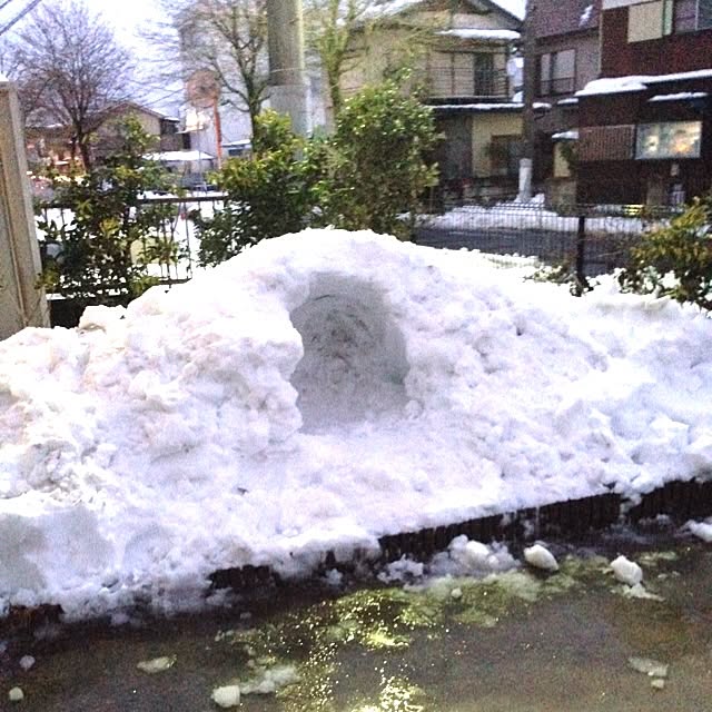 berryさんの実例写真