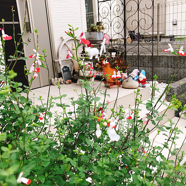 eriharuさんの実例写真