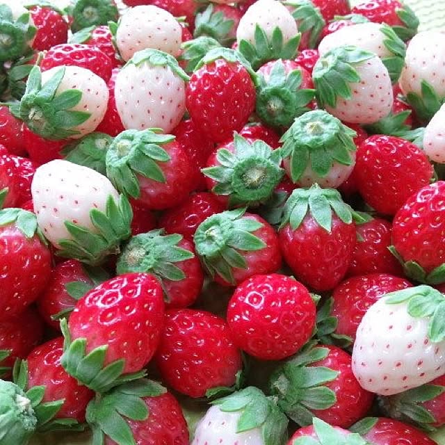 Toshikazu1982さんの実例写真