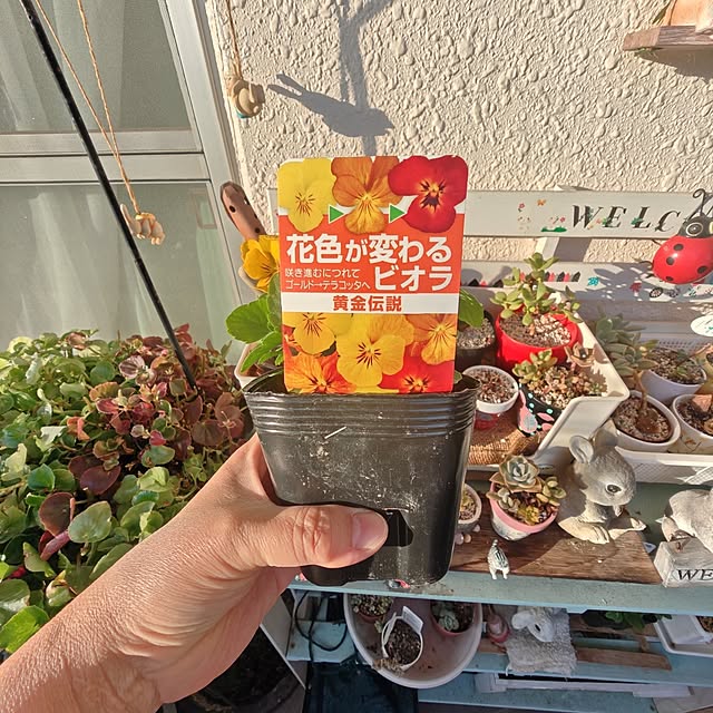 mariaさんの部屋