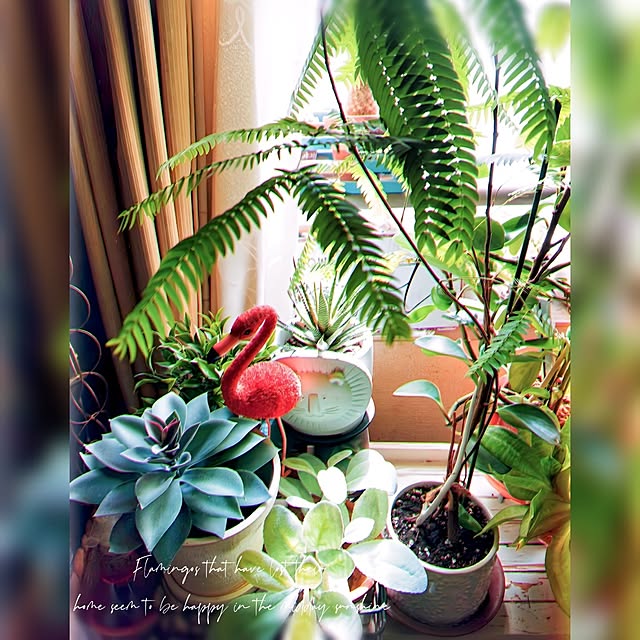 kyooonさんの部屋