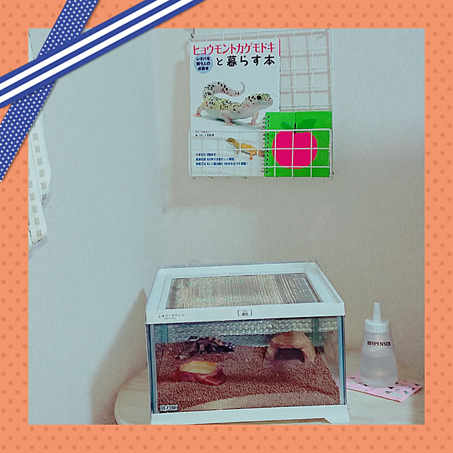 H23さんの実例写真