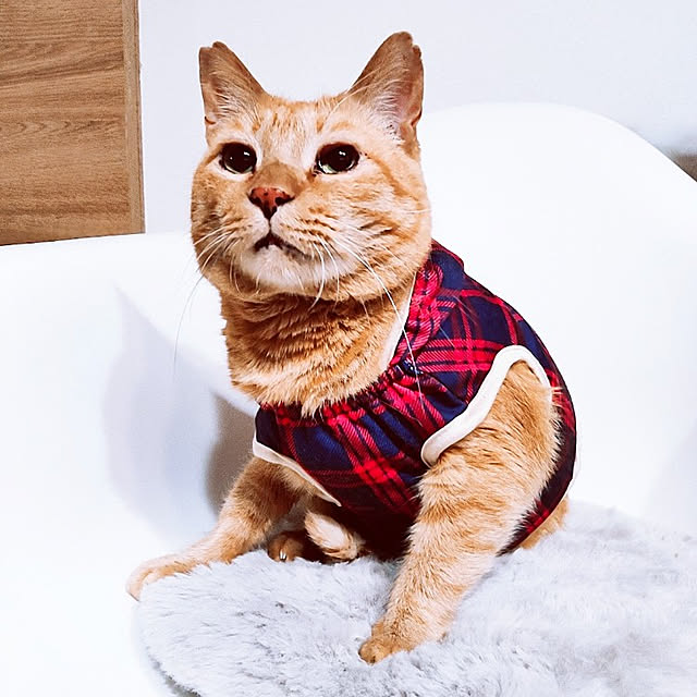 kirakirahikaruさんの実例写真
