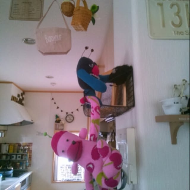 kotaさんの実例写真