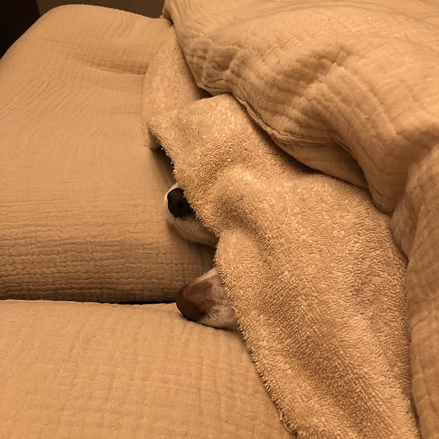 tomoteaさんの実例写真