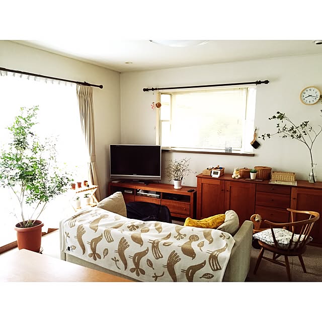 kaoru.m11さんの実例写真