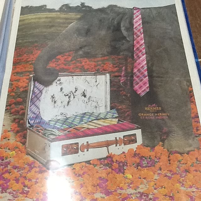 koheiさんの実例写真