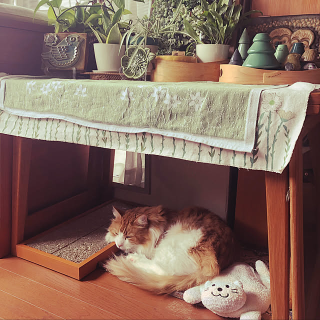 uchidaizuさんの実例写真