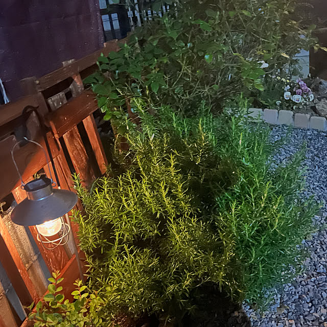 tomさんの実例写真