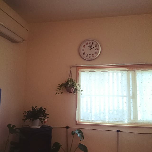 rinmarorinさんの実例写真