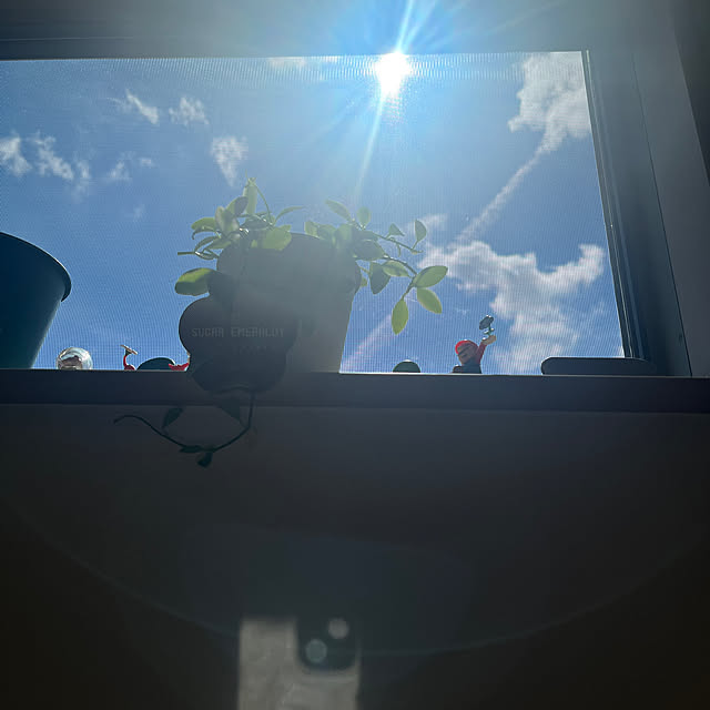 tiroさんの部屋
