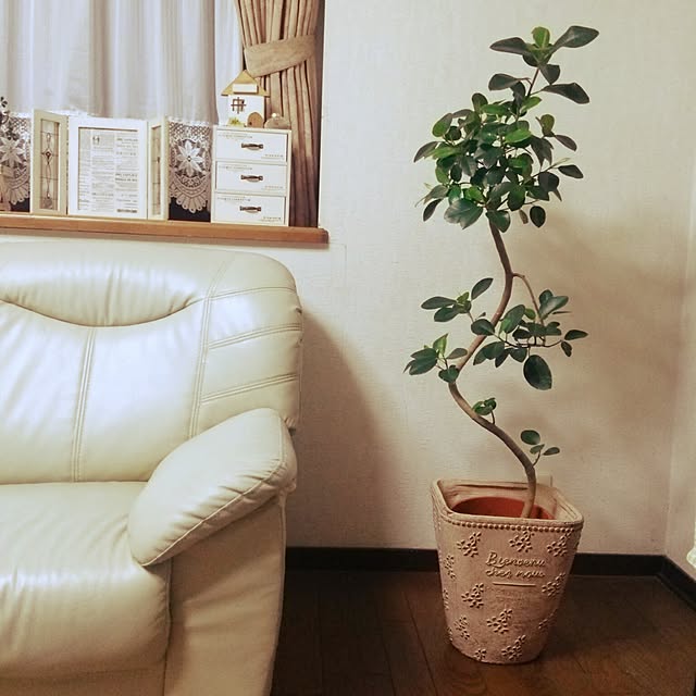 aisanさんの実例写真