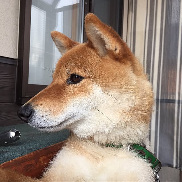 luckyさんの実例写真