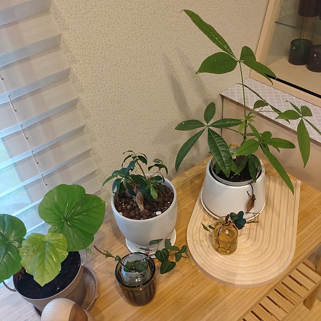 tan5さんの部屋