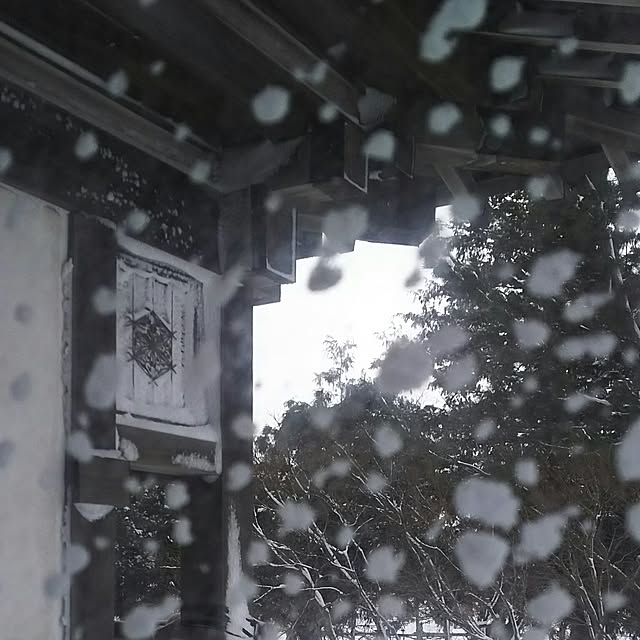 leafさんの実例写真
