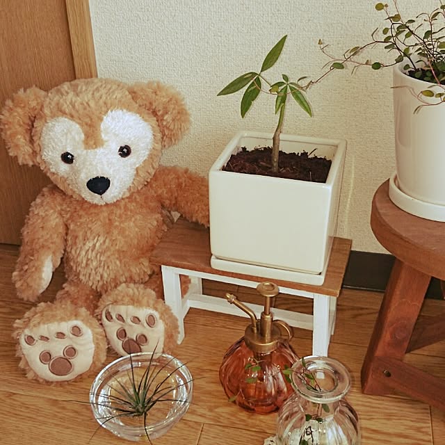 aiさんの実例写真