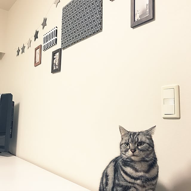 hiyupan88さんの実例写真