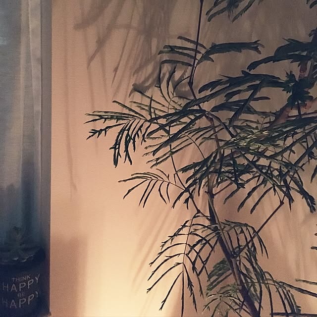 yuririoさんの実例写真
