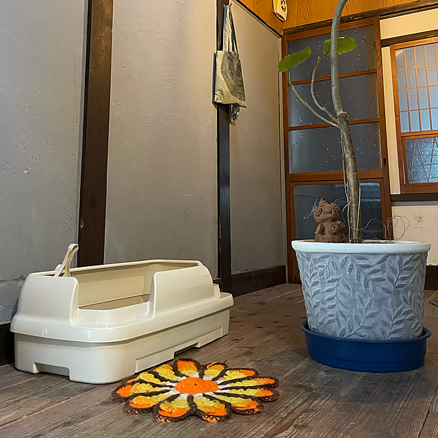 joshua.treeさんの実例写真