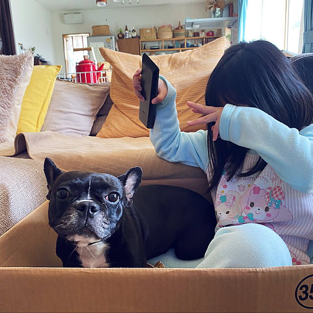 kotaroさんの実例写真
