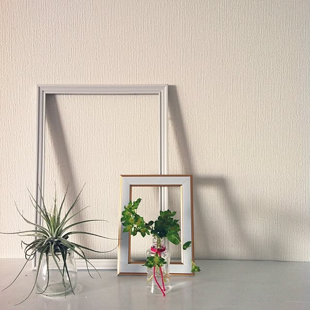 cottonさんの部屋