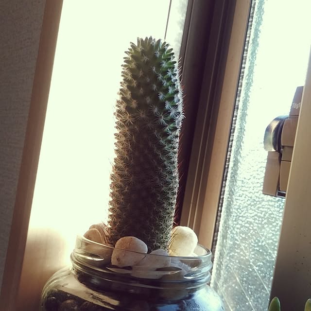 a01さんの実例写真