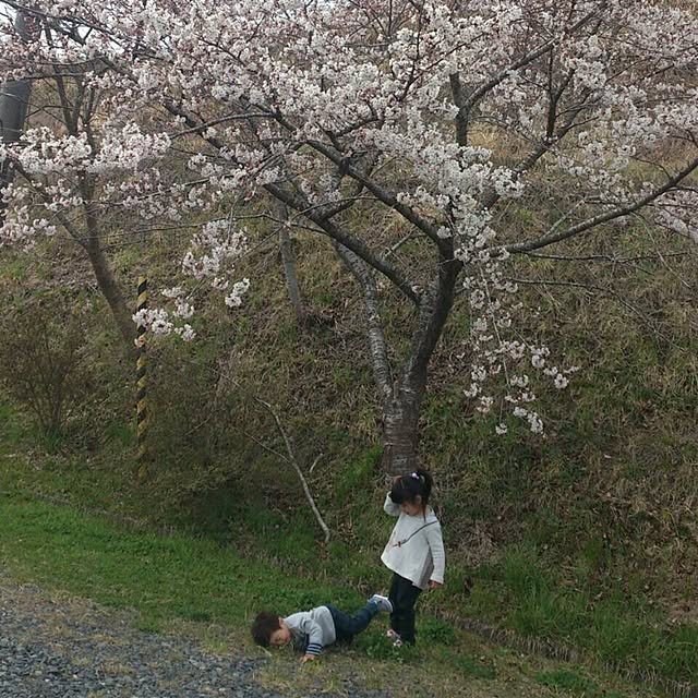 hirokoさんの実例写真