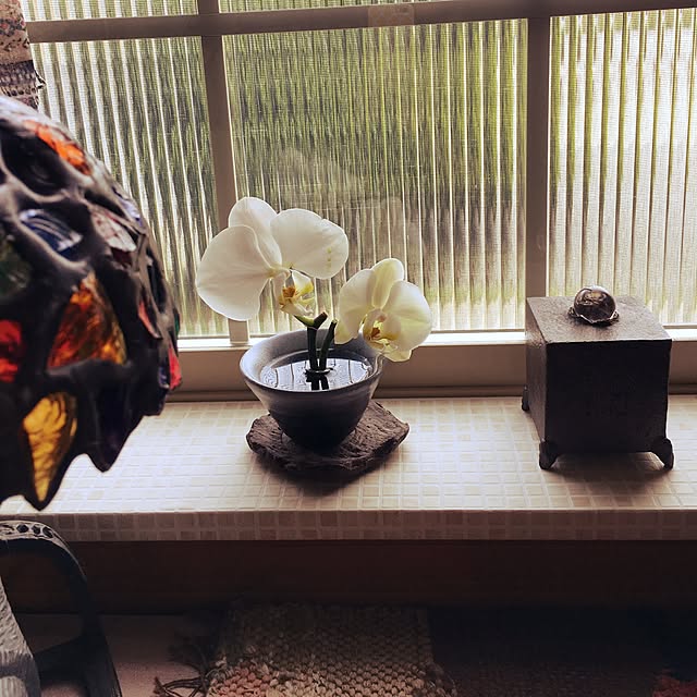cloverさんの実例写真