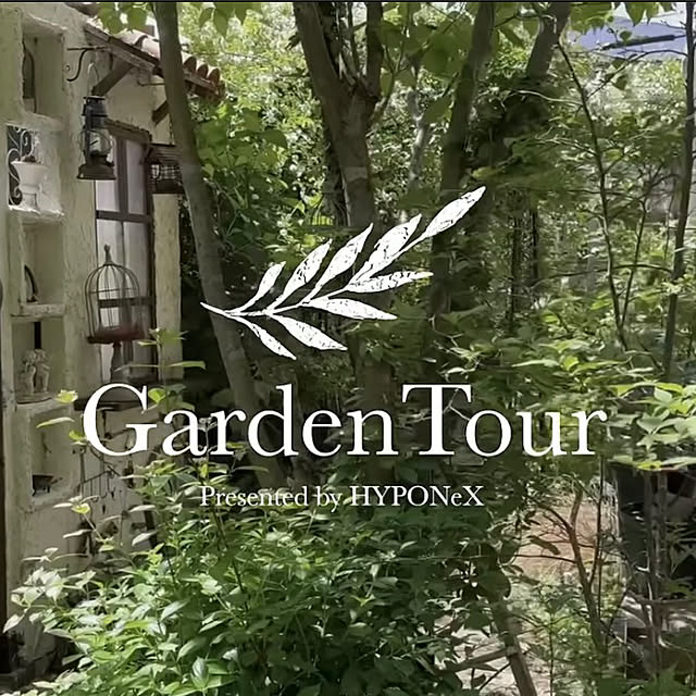 amiさんの部屋
