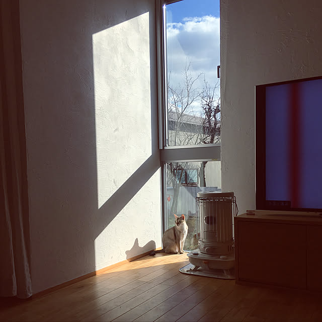 NOHANAさんの実例写真