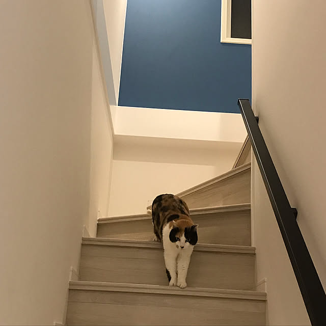 mtkさんの実例写真