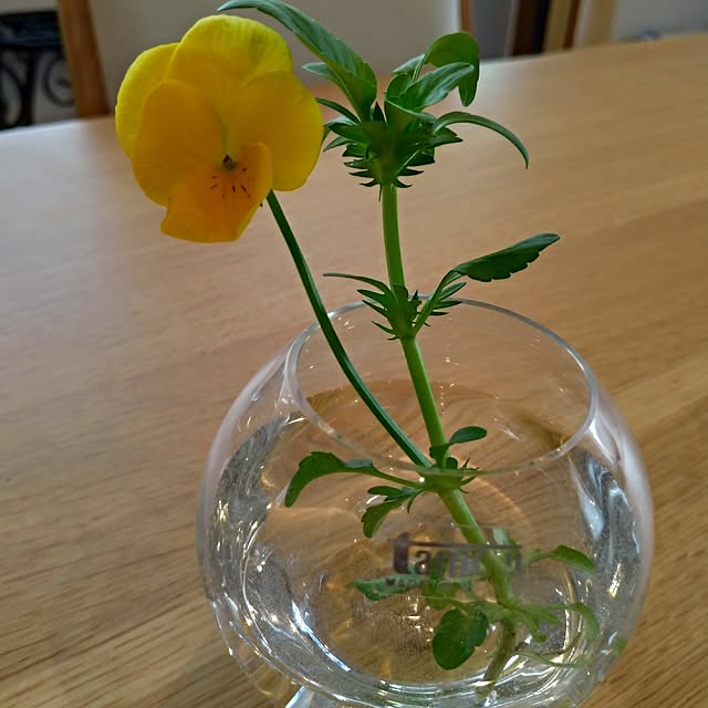 kurumiさんの部屋