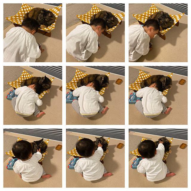 mikomaruさんの実例写真