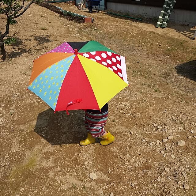 joiedevivreさんの実例写真