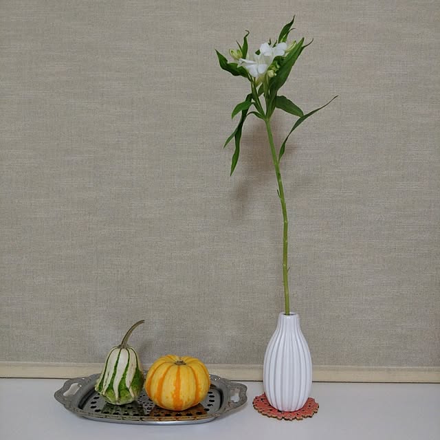jkabmymycatさんの実例写真
