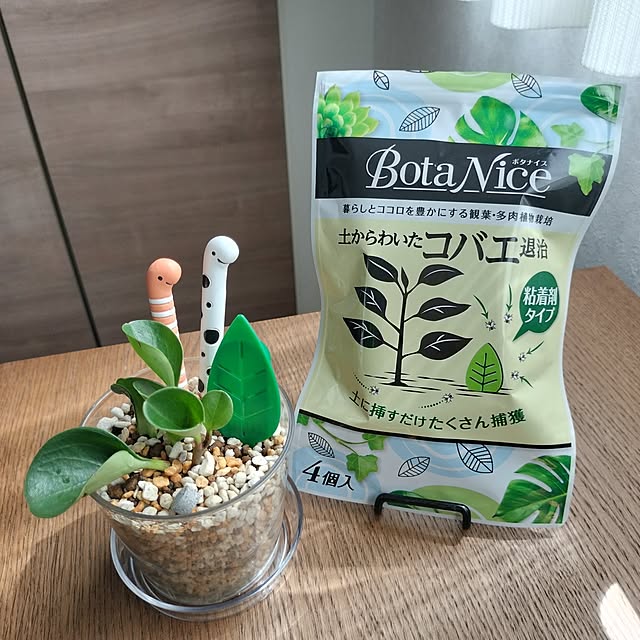 pecoさんの実例写真