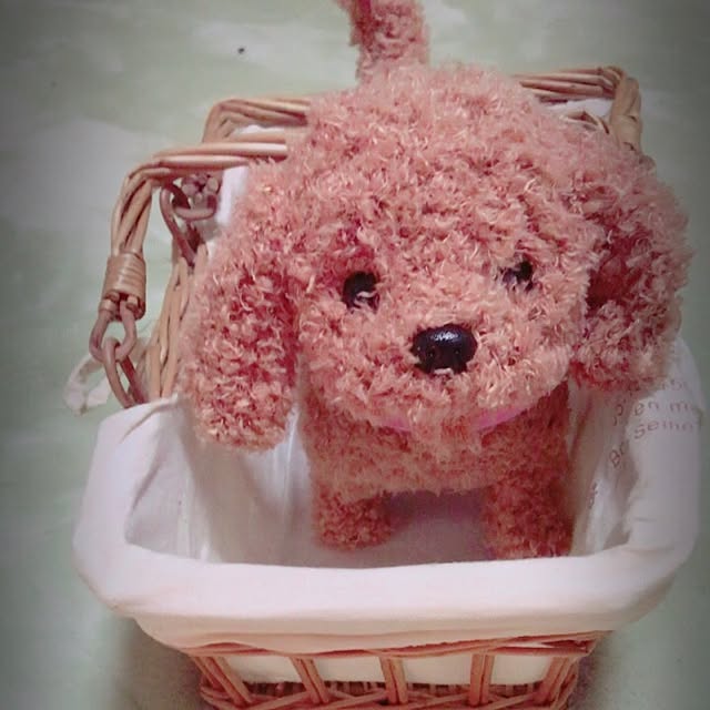 youさんの実例写真