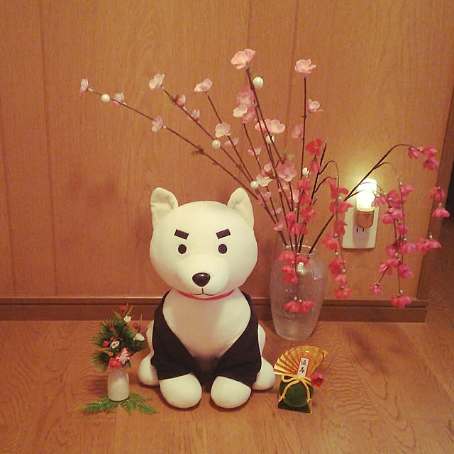 Tirorinさんの実例写真