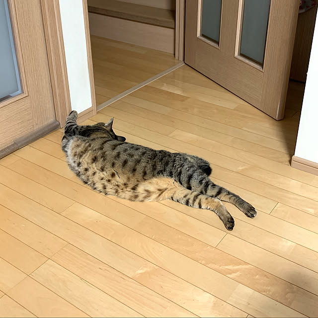 yukarin-gardenさんの実例写真