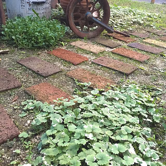 bibianさんの実例写真