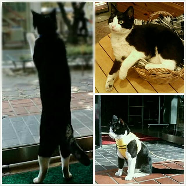 実例写真