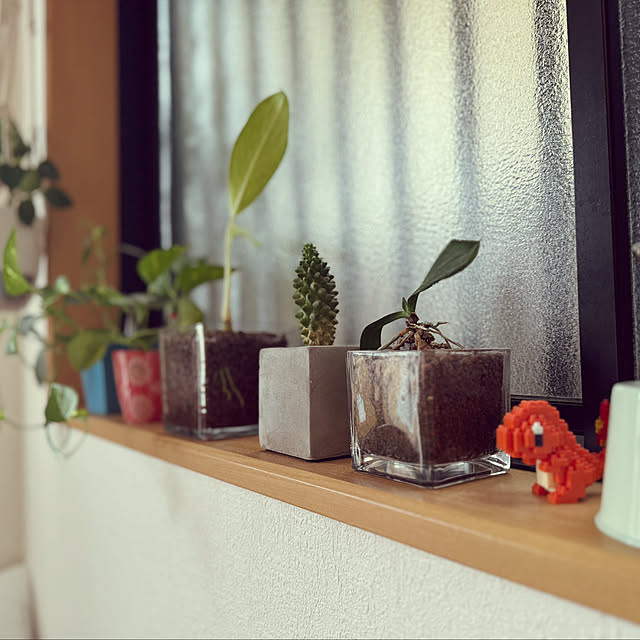 popstarさんの実例写真